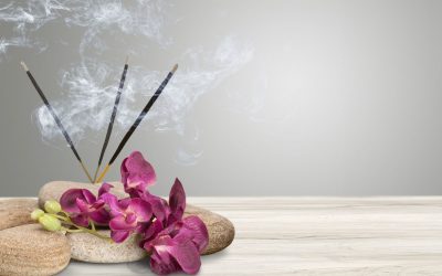 ¿Qué son los ambientes olfativos?