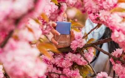 Tendencias de Aromas 2025