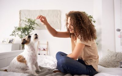 Cómo mantener un aroma agradable en espacios con mascotas sin ocultar los malos olores